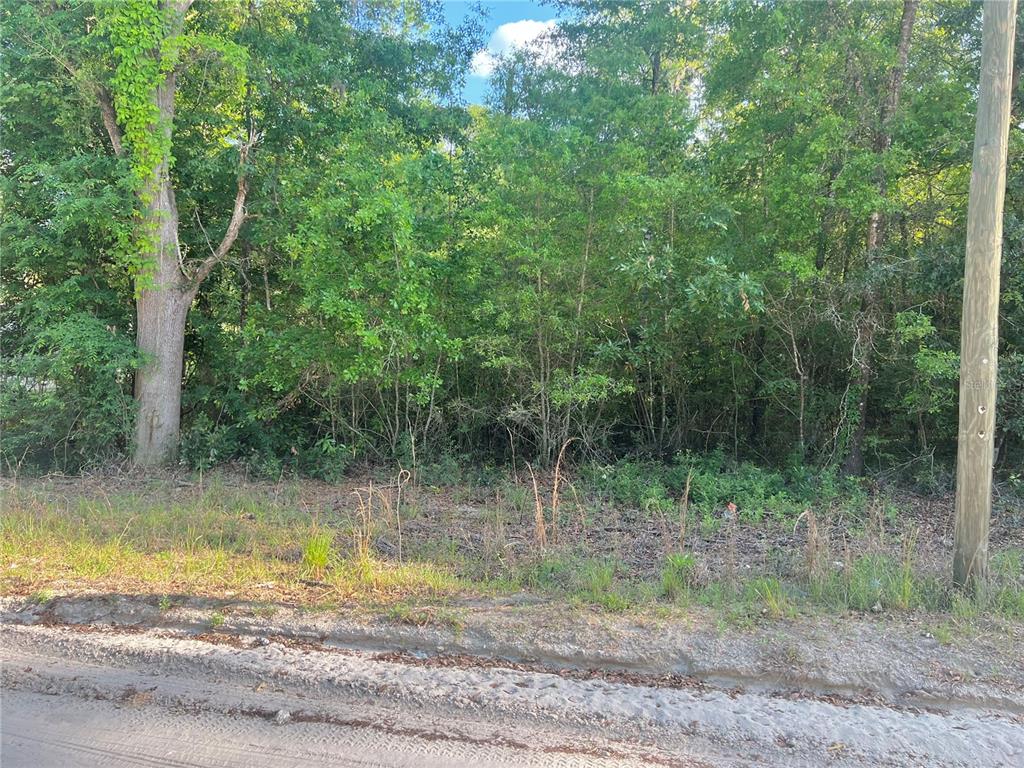 Kentucky Fort White, FL 32038 - Photo 1 of 1 View from Kentucky St.