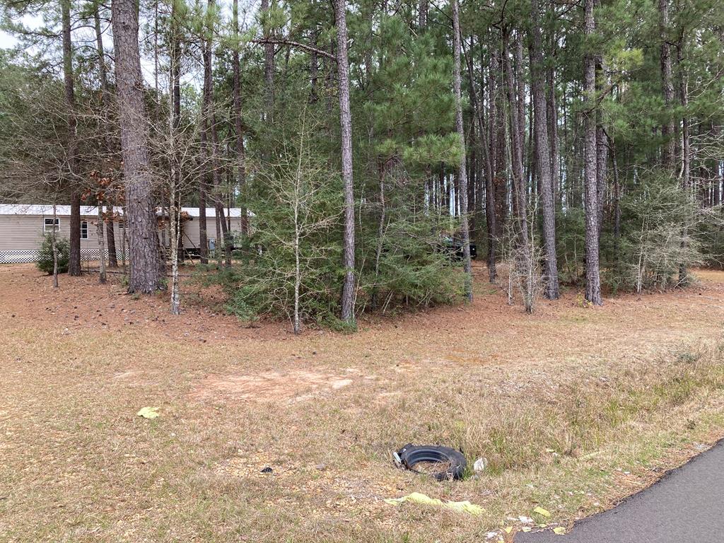 205 Dumas Bailey Road Picayune, MS 39466 - Photo 1 of 1 Main View