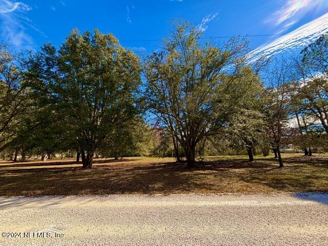 3990 Pinto Road Middleburg, FL 32068 - Photo 1 of 1 a view of road yard