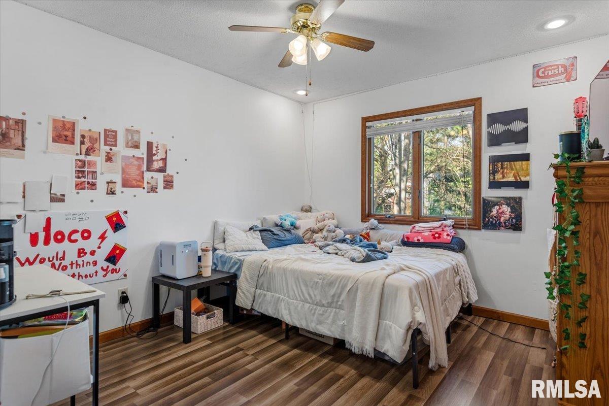 6487 Rentshler Road Rochester, IL 62563 - Photo 17 of 47