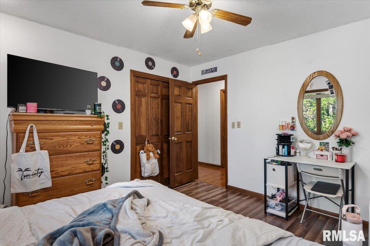 6487 Rentshler Road Rochester, IL 62563 - Photo 18 of 47