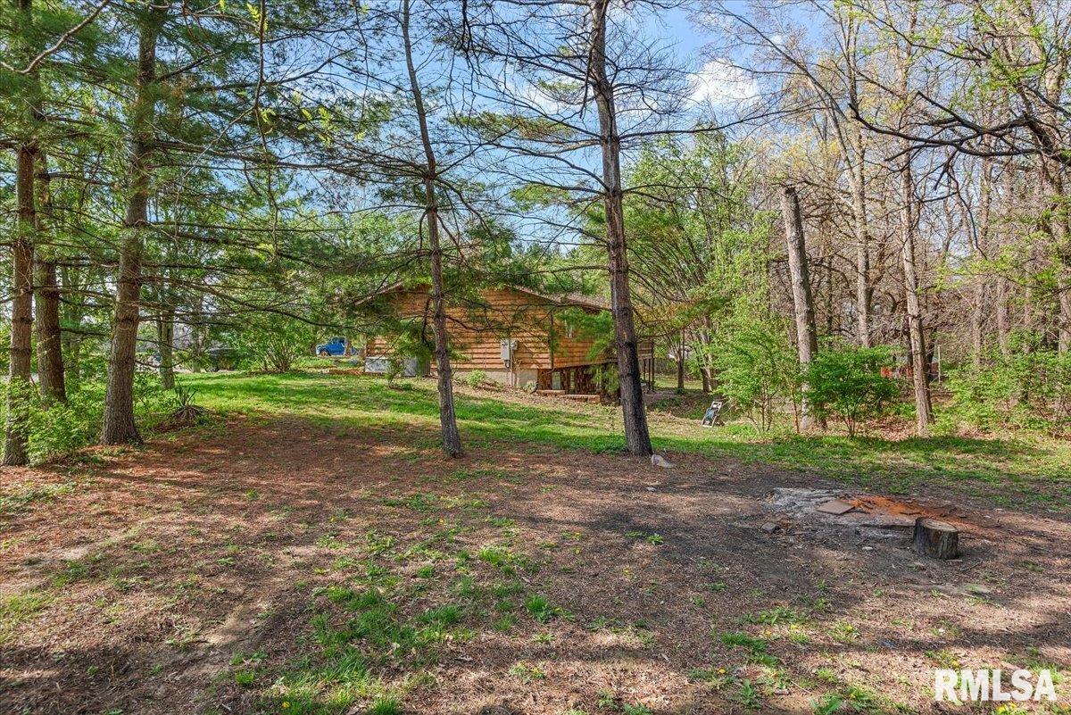 6487 Rentshler Road Rochester, IL 62563 - Photo 34 of 47