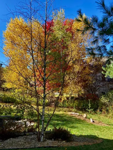 $642,000 | 1200 Creekside Crossing, Stillwater, MN 55082