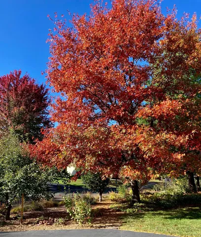 $642,000 | 1200 Creekside Crossing, Stillwater, MN 55082