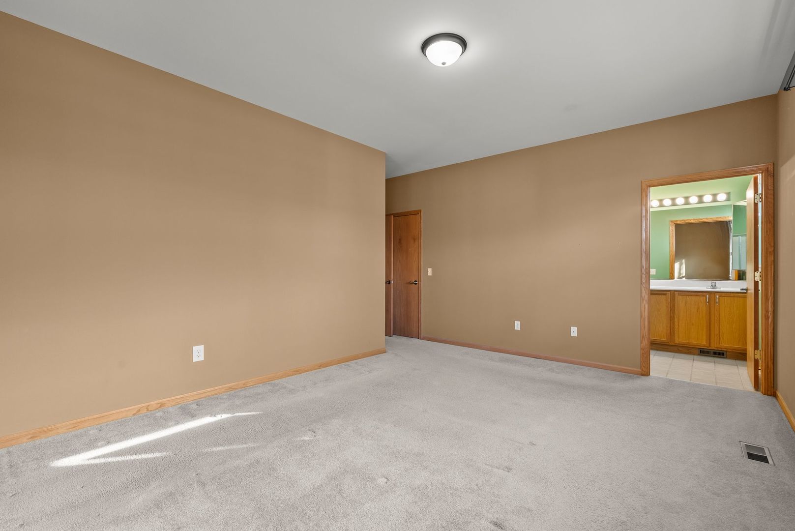 1534 Cadillac Circle Romeoville, IL 60446 - Photo 22 of 30