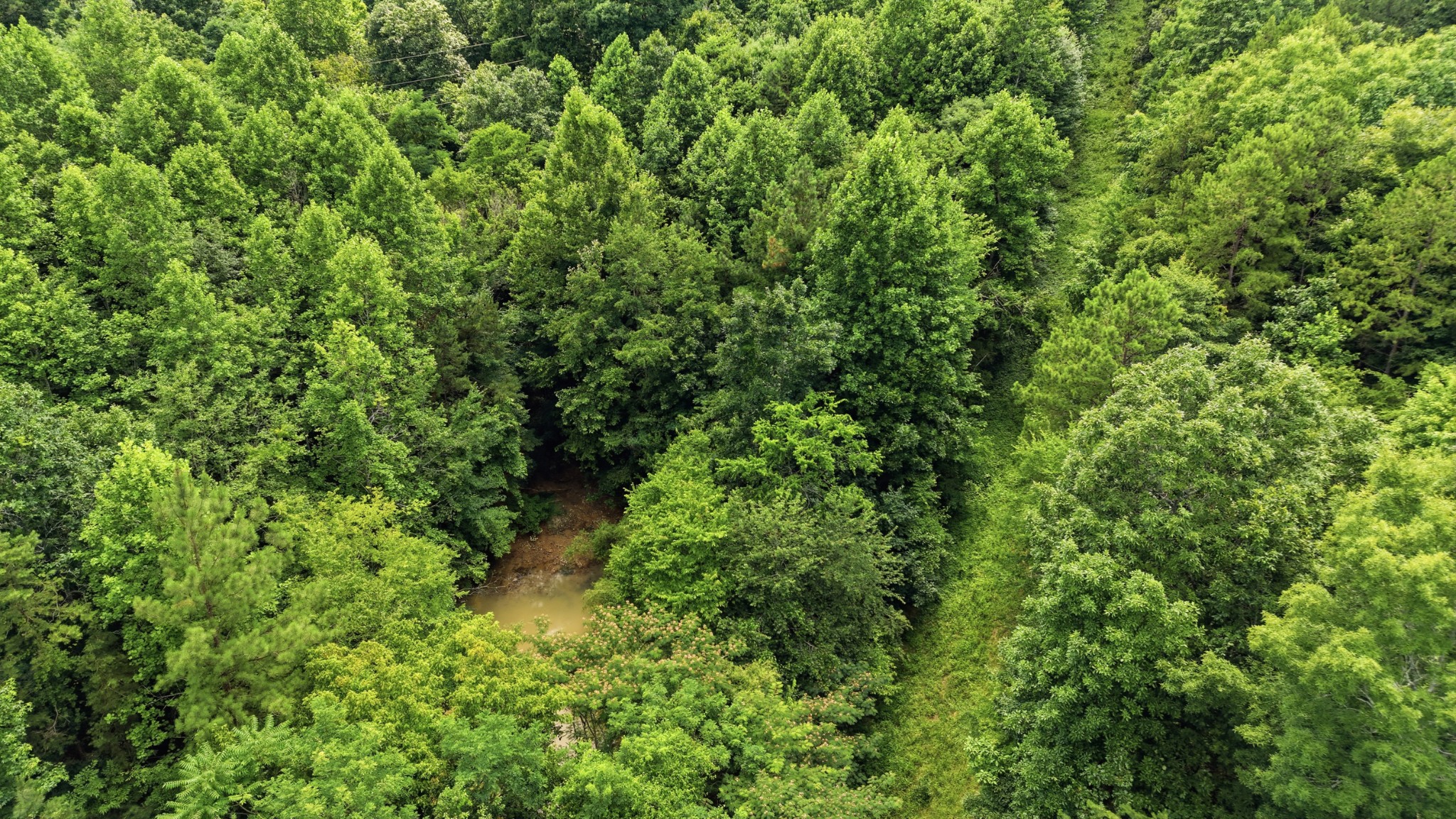 0 Green Shanty Road Ooltewah, TN 37363 - Photo 6 of 12