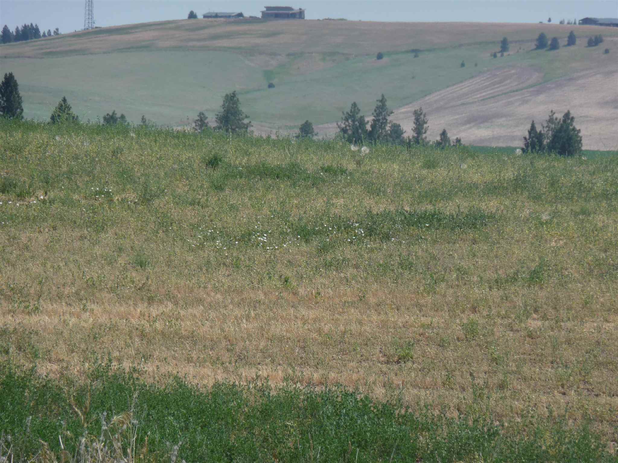0 South Betz/murphy Road Cheney, WA 99004 - Photo 11 of 11