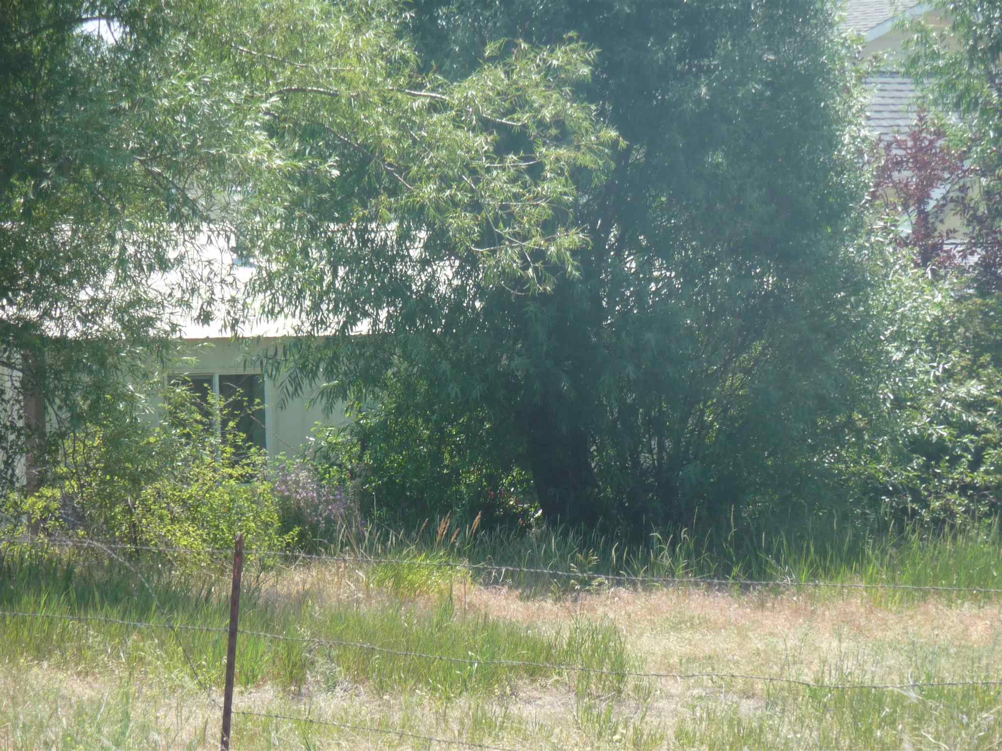 0 South Betz/murphy Road Cheney, WA 99004 - Photo 10 of 11