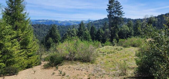 0 French Road Miranda, CA 95553 - Photo 1 of 19