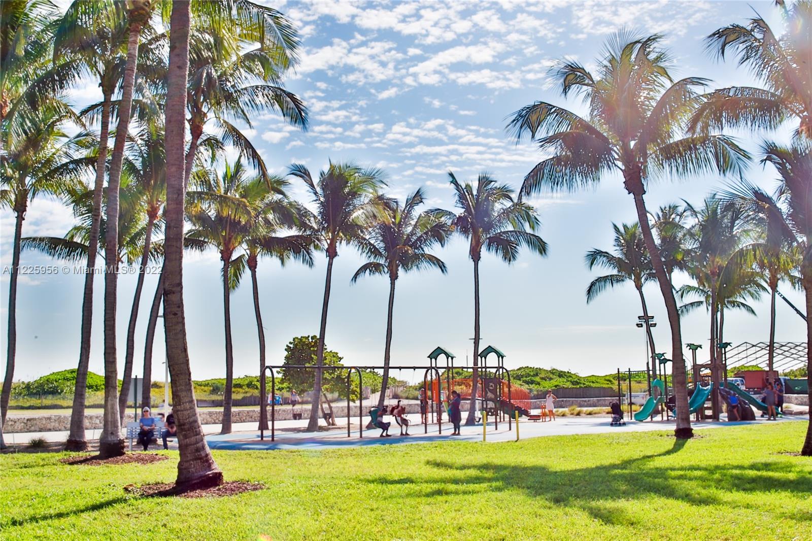 Flamingo-Lummus Miami Beach, FL 33139 - Photo 2 of 28 a view of three palm trees