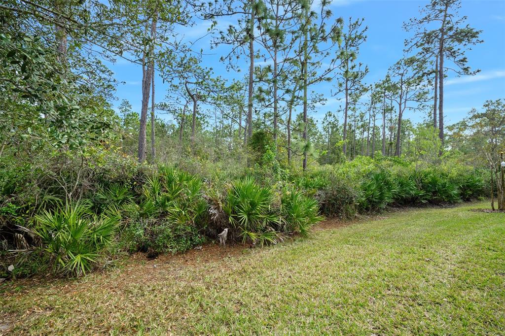 820 Aldenham Lane Ormond Beach, FL 32174 - Photo 39 of 65