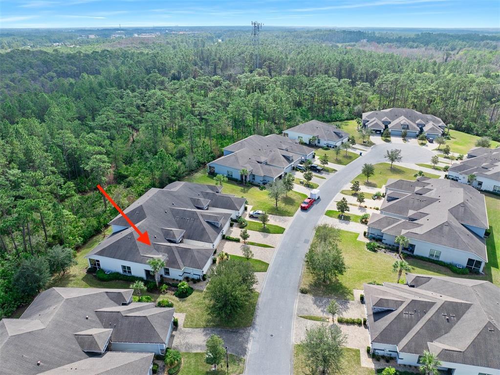 820 Aldenham Lane Ormond Beach, FL 32174 - Photo 43 of 65