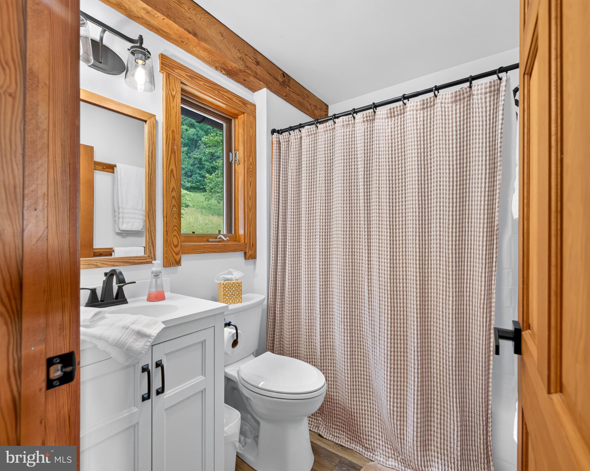 4028 South F T Valley Road Etlan, VA 22719 - Photo 60 of 101 a bathroom with a sink and a toilet