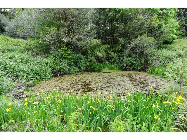 $749,000 | 88447 Lampa Lane, Coquille, OR 97423