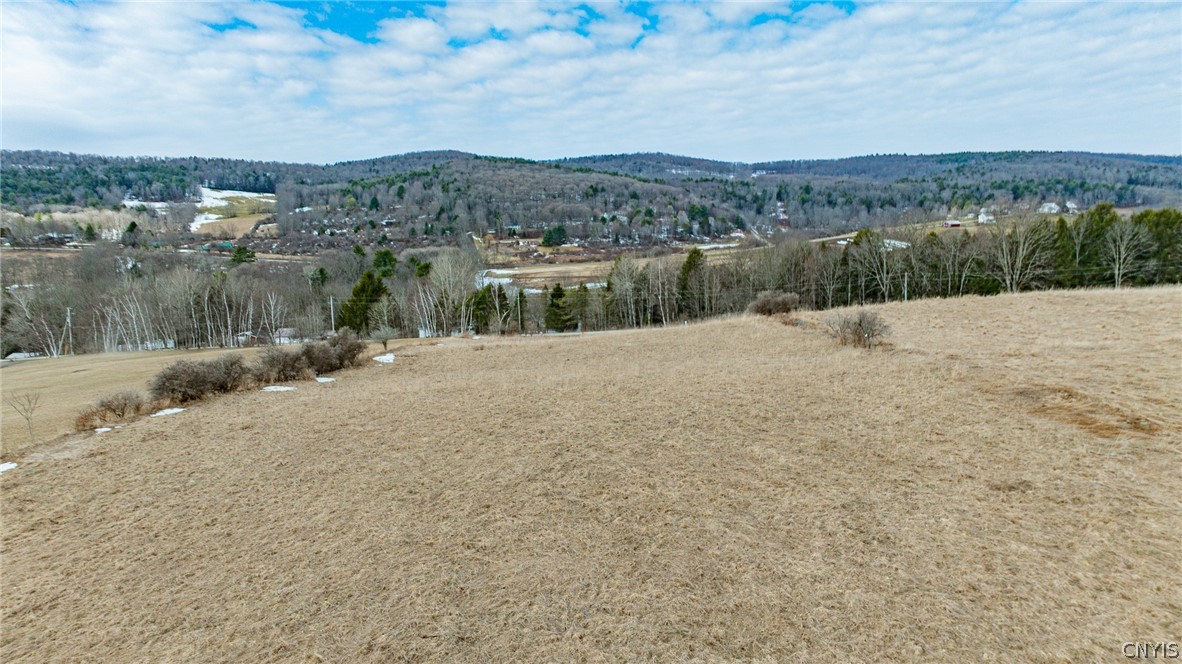 Buck Road Fly Creek, NY 13337 - Photo 3 of 9 Enjoy the peace and privacy of rural living!