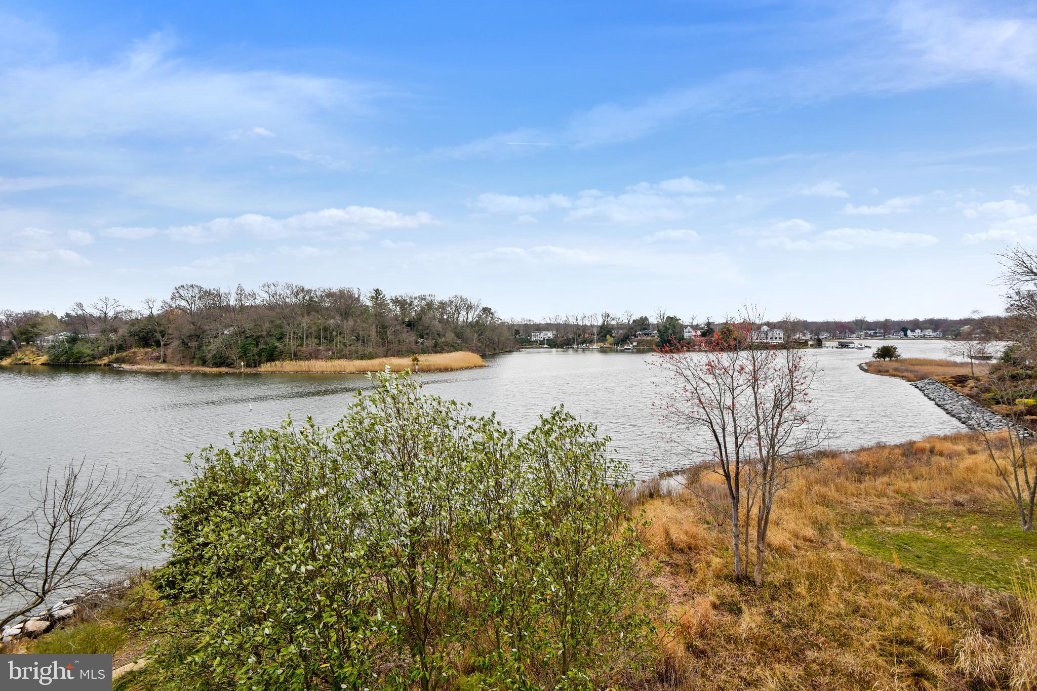 770 South River Landing Road Edgewater, MD 21037 - Photo 10 of 74