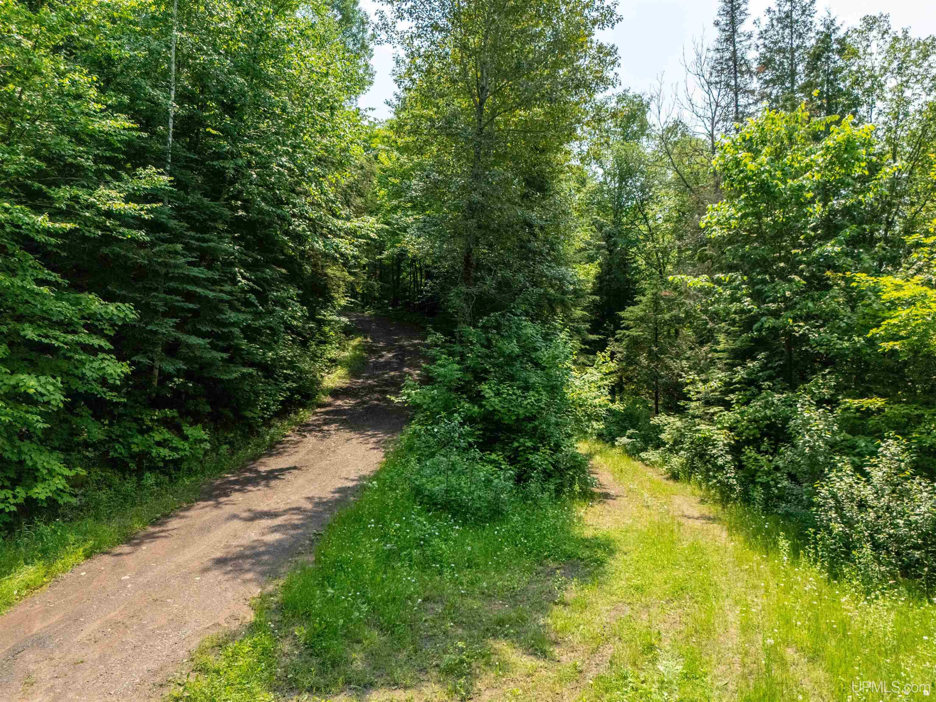 Tbd Pollack Road Iron River, MI 49935 - Photo 1 of 10