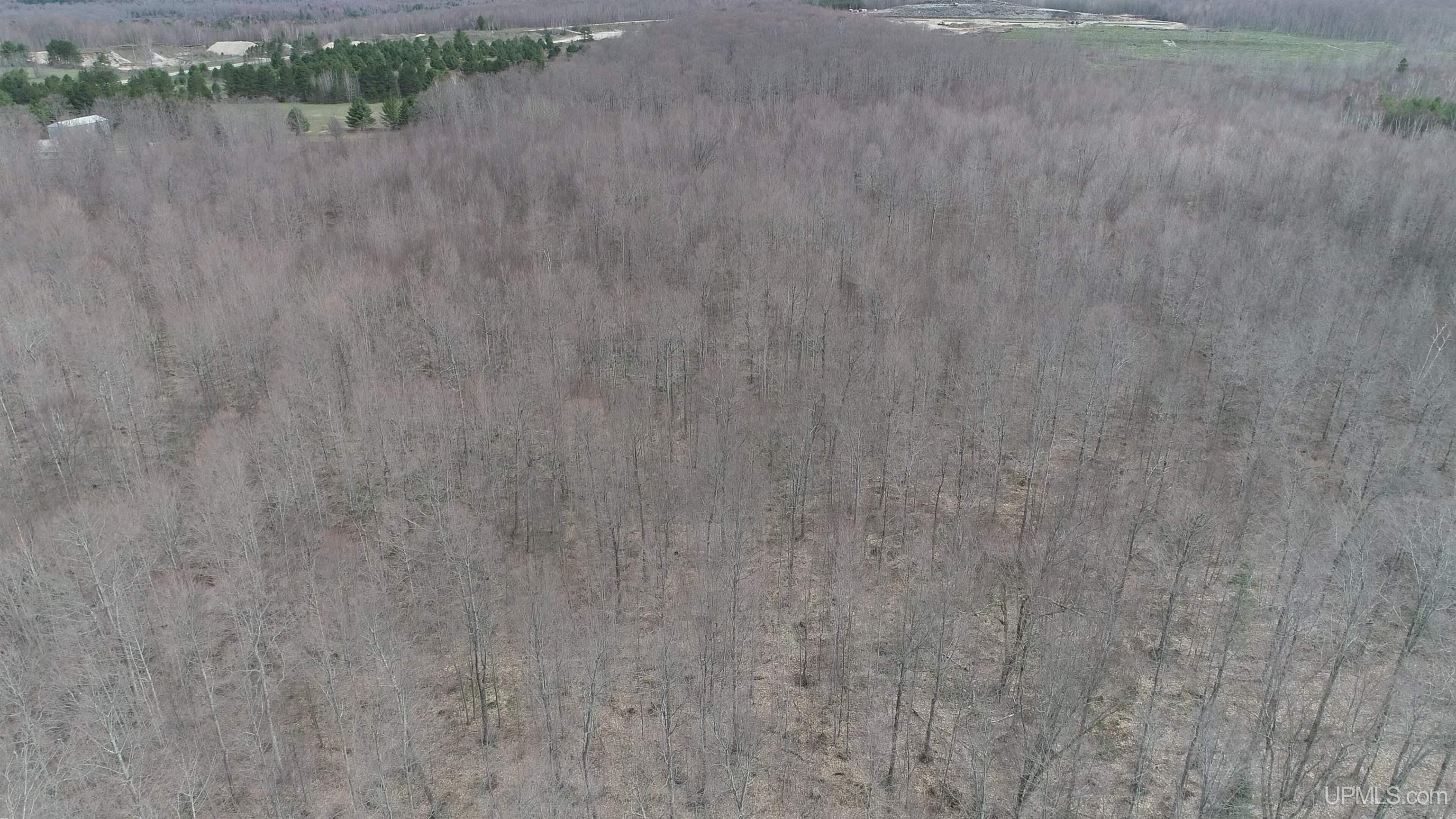 Parcel B County 433 Road Gulliver, MI 49840 - Photo 5 of 14
