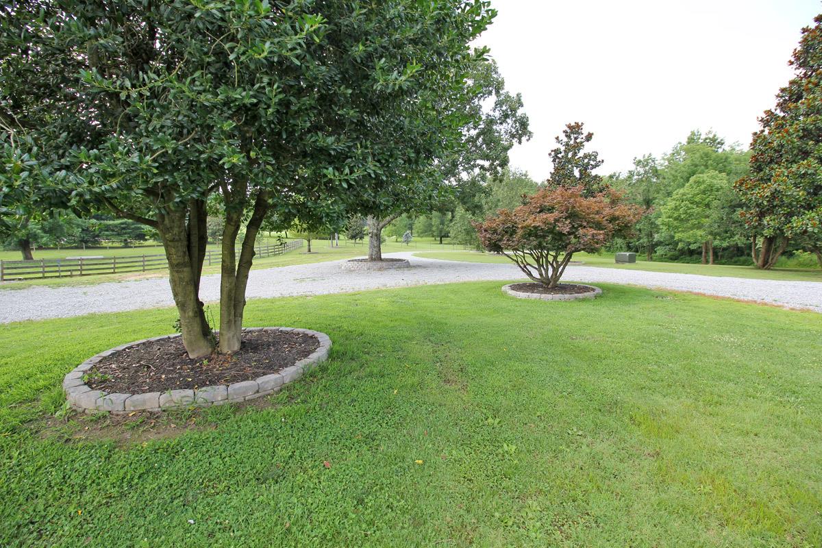 4845 Starks Road Cross Plains, TN 37049 - Photo 26 of 27 a swimming pool with some trees in the background