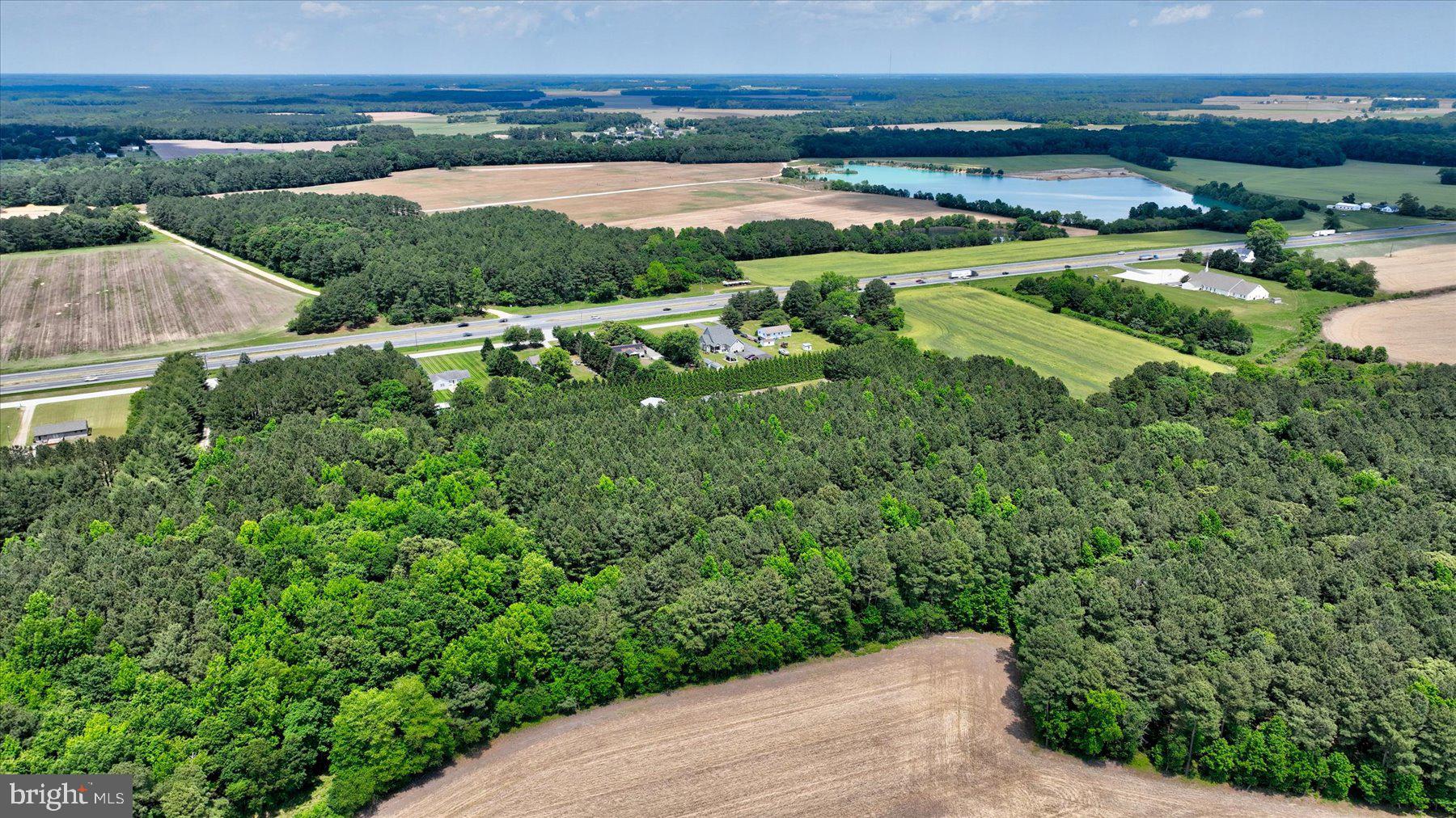 0 Rising Eagle Road Mardela Springs, MD 21837 - Photo 5 of 14 an aerial view of huge green field with lots of green plants
