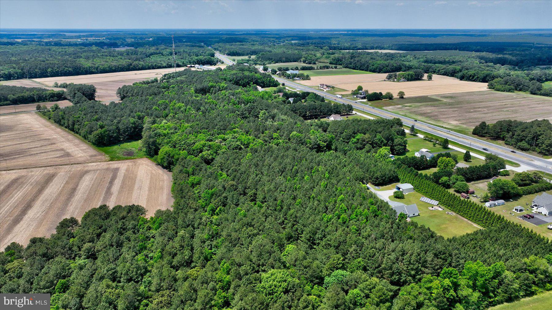 0 Rising Eagle Road Mardela Springs, MD 21837 - Photo 10 of 14 an aerial view of a house with yard and outdoor space