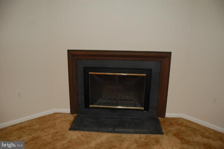 11706 Putting Green Court Reston, VA 20191 - Photo 17 of 20 Fireplace