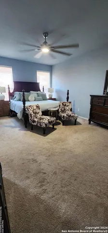 a bed room with furniture and a potted plant