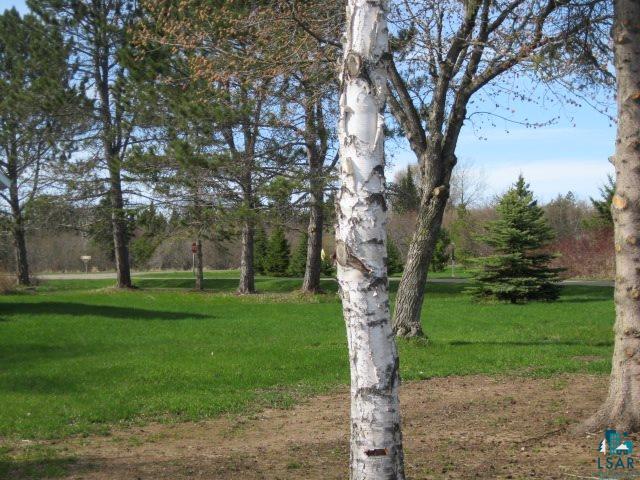 90080 Bark Point Road Herbster, WI 54844 - Photo 16 of 44 Gallery Image 16