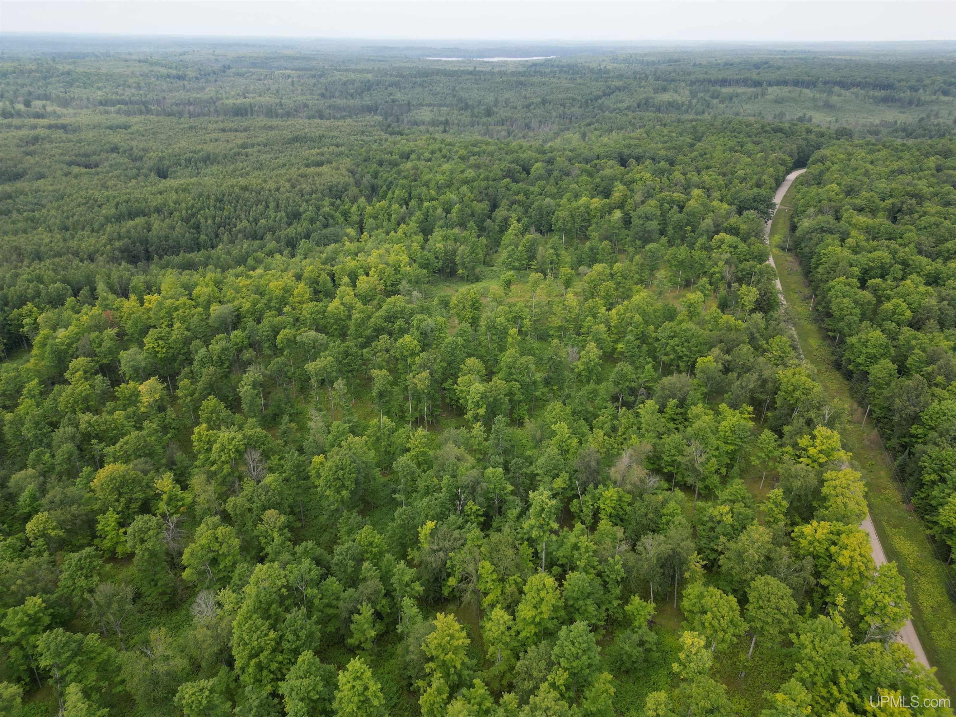 Tbd Camp Five Road Crystal Falls, MI 49920 - Photo 22 of 54 Gallery Image 22