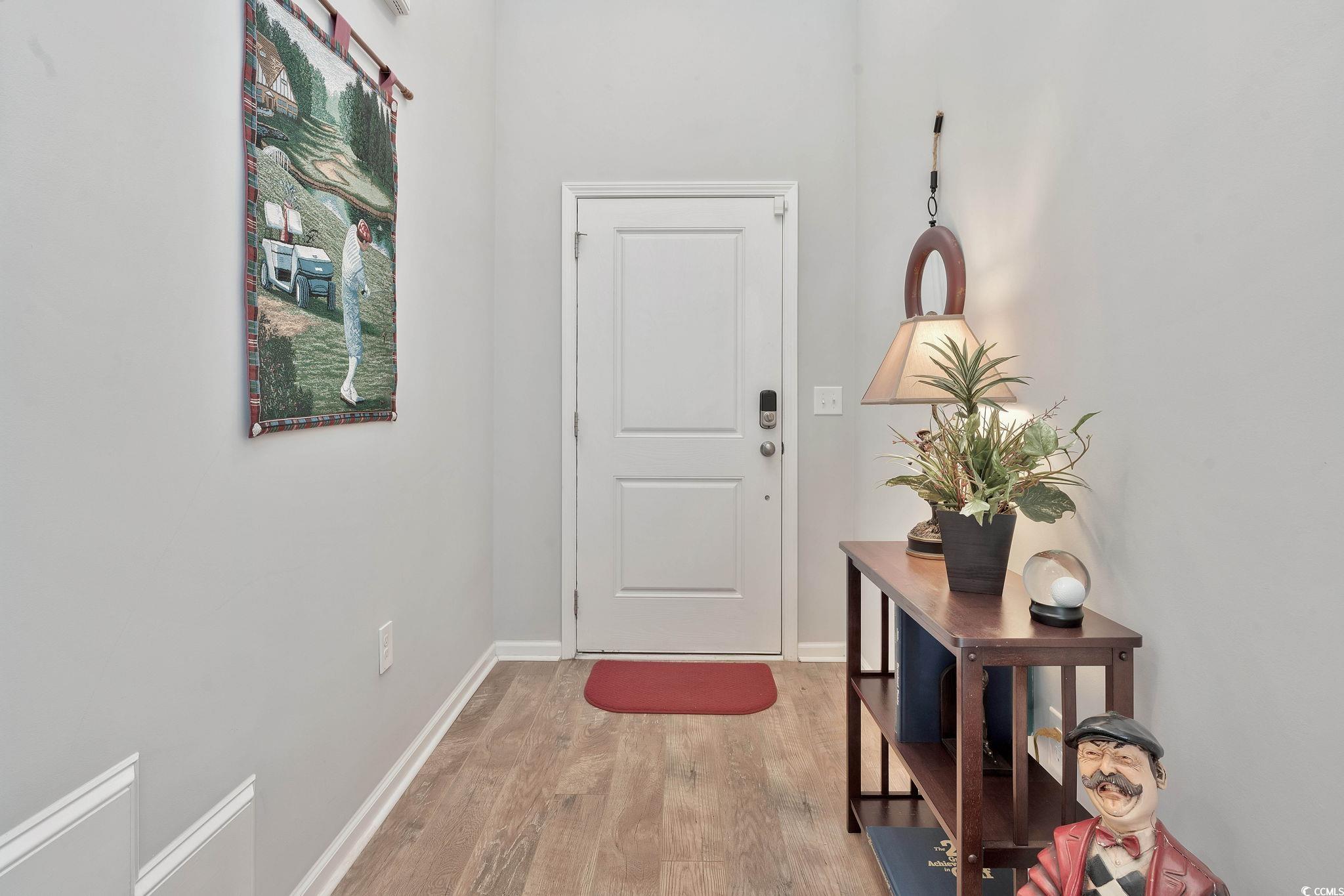 141 Splendor Circle Murrells Inlet, SC 29576 - Photo 3 of 34 Entryway featuring light wood finished floors and