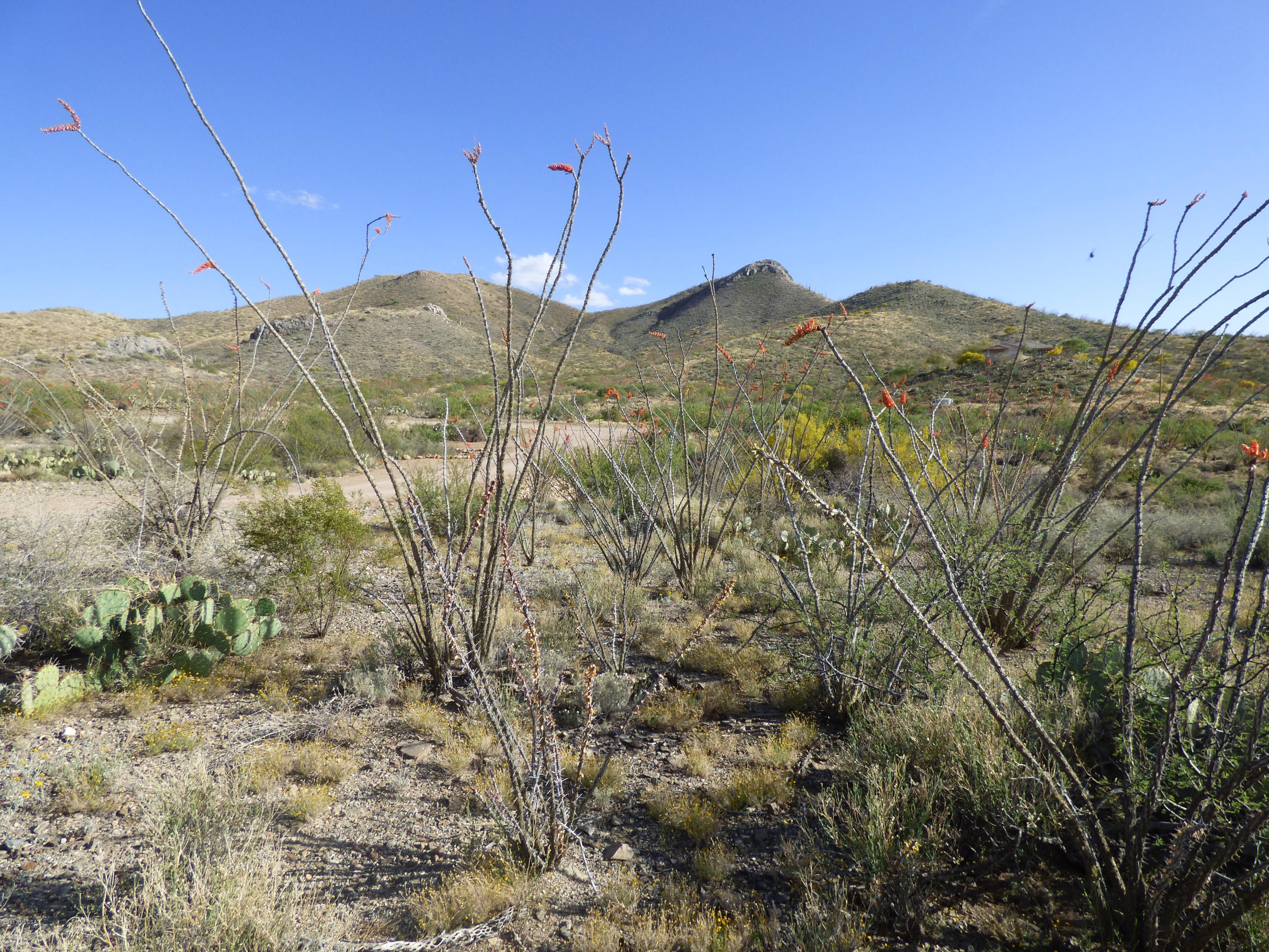 0 East Ocotillo Rim Trail North Vail, AZ 85641 - Photo 5 of 9