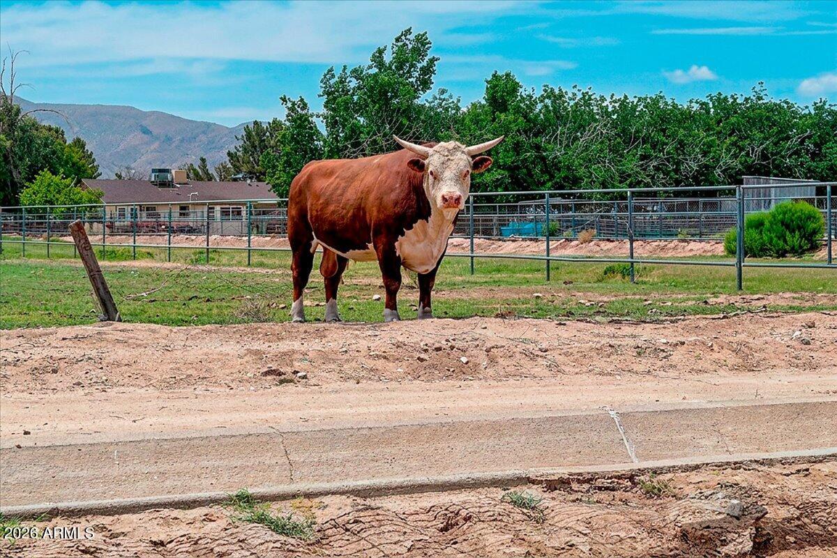 7624 North Citrus Road Waddell, AZ 85355 - Photo 46 of 57