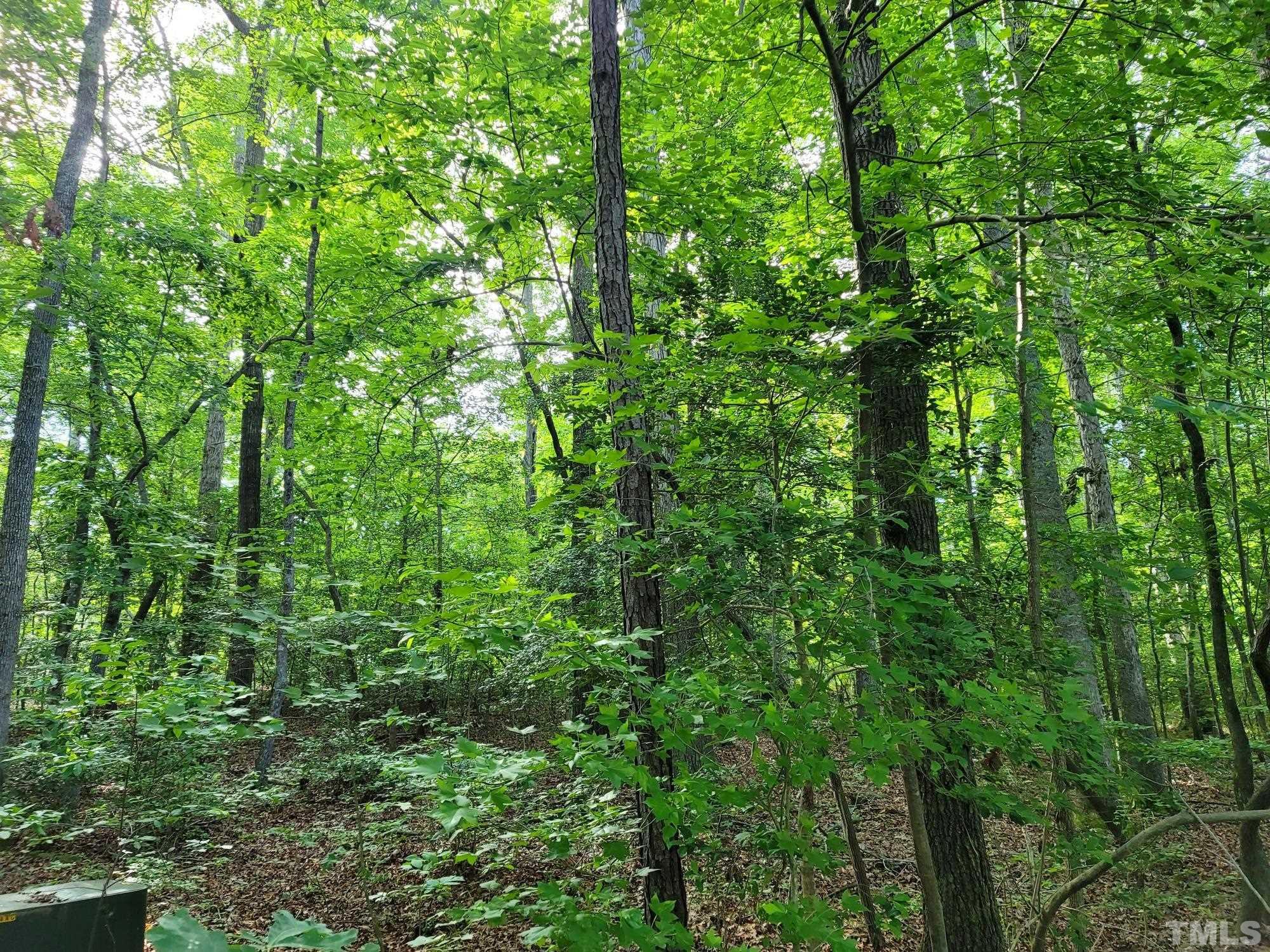 2058 Cedar Circle Sanford, NC 27332 - Photo 11 of 14 a view of a lush green forest
