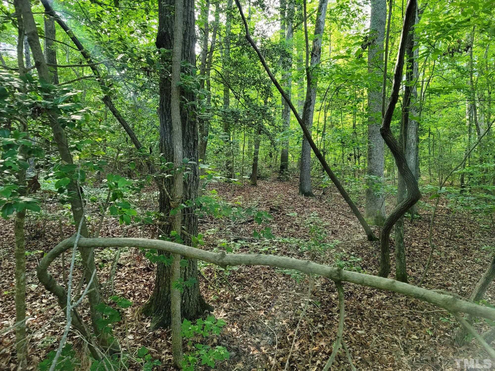 2058 Cedar Circle Sanford, NC 27332 - Photo 12 of 14 a view of forest