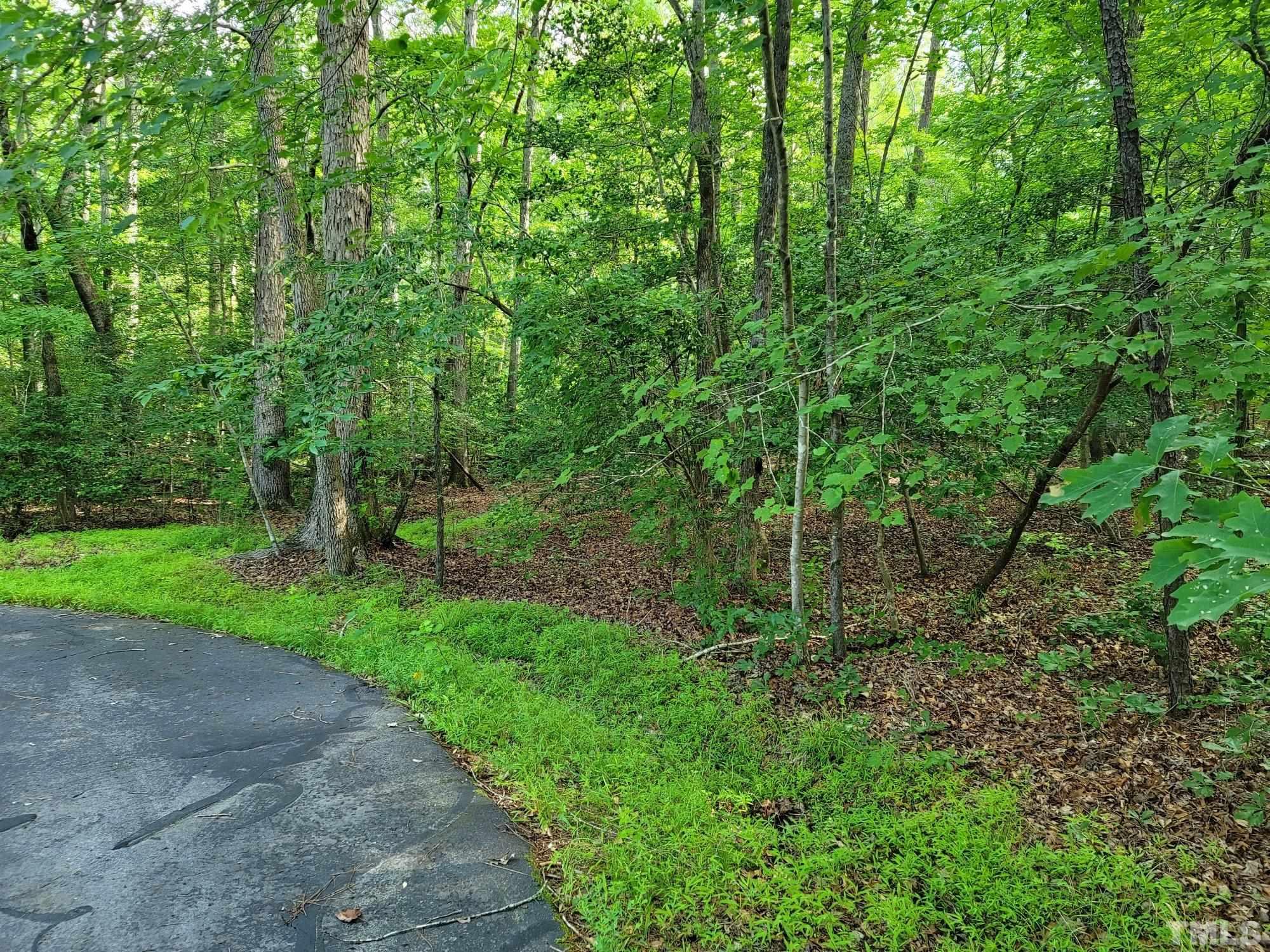 2058 Cedar Circle Sanford, NC 27332 - Photo 13 of 14 a view of a forest with trees