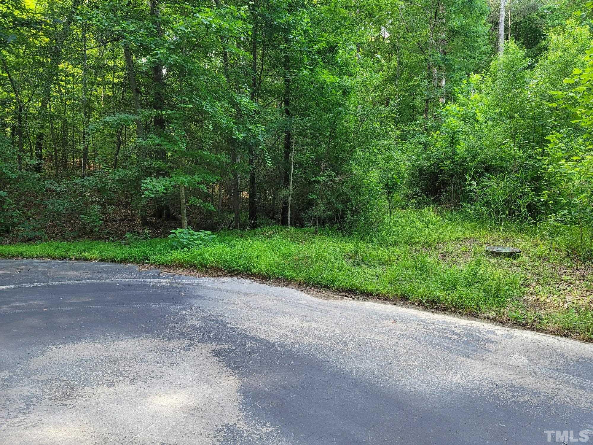 2058 Cedar Circle Sanford, NC 27332 - Photo 14 of 14 a view of a yard with a house