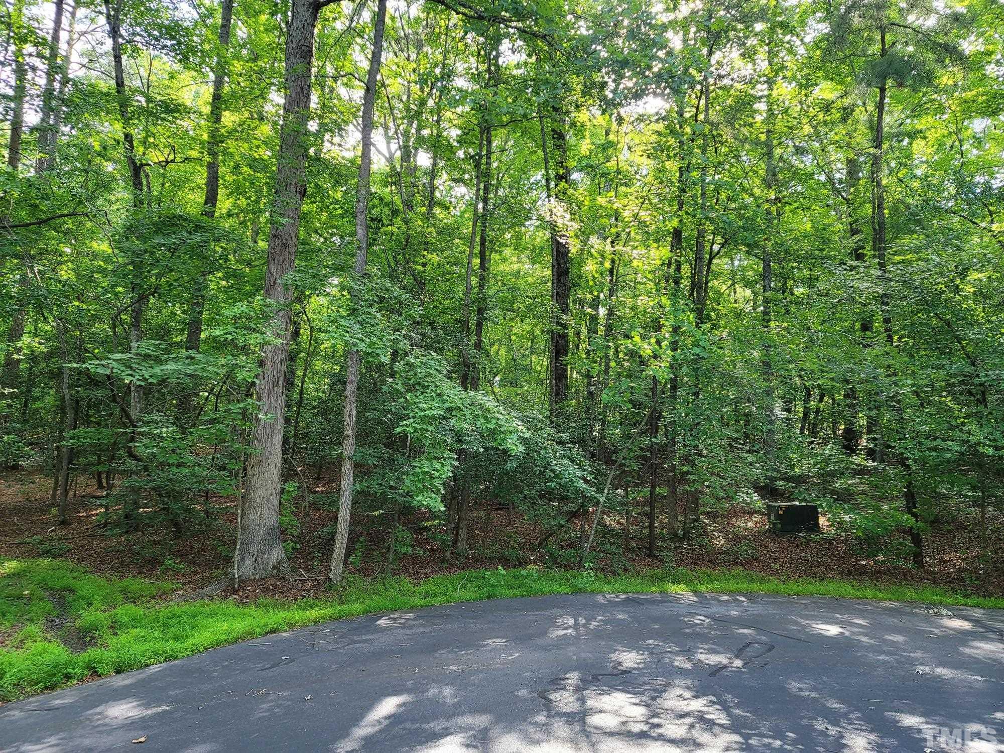 2058 Cedar Circle Sanford, NC 27332 - Photo 4 of 14 a green field with lots of trees in it