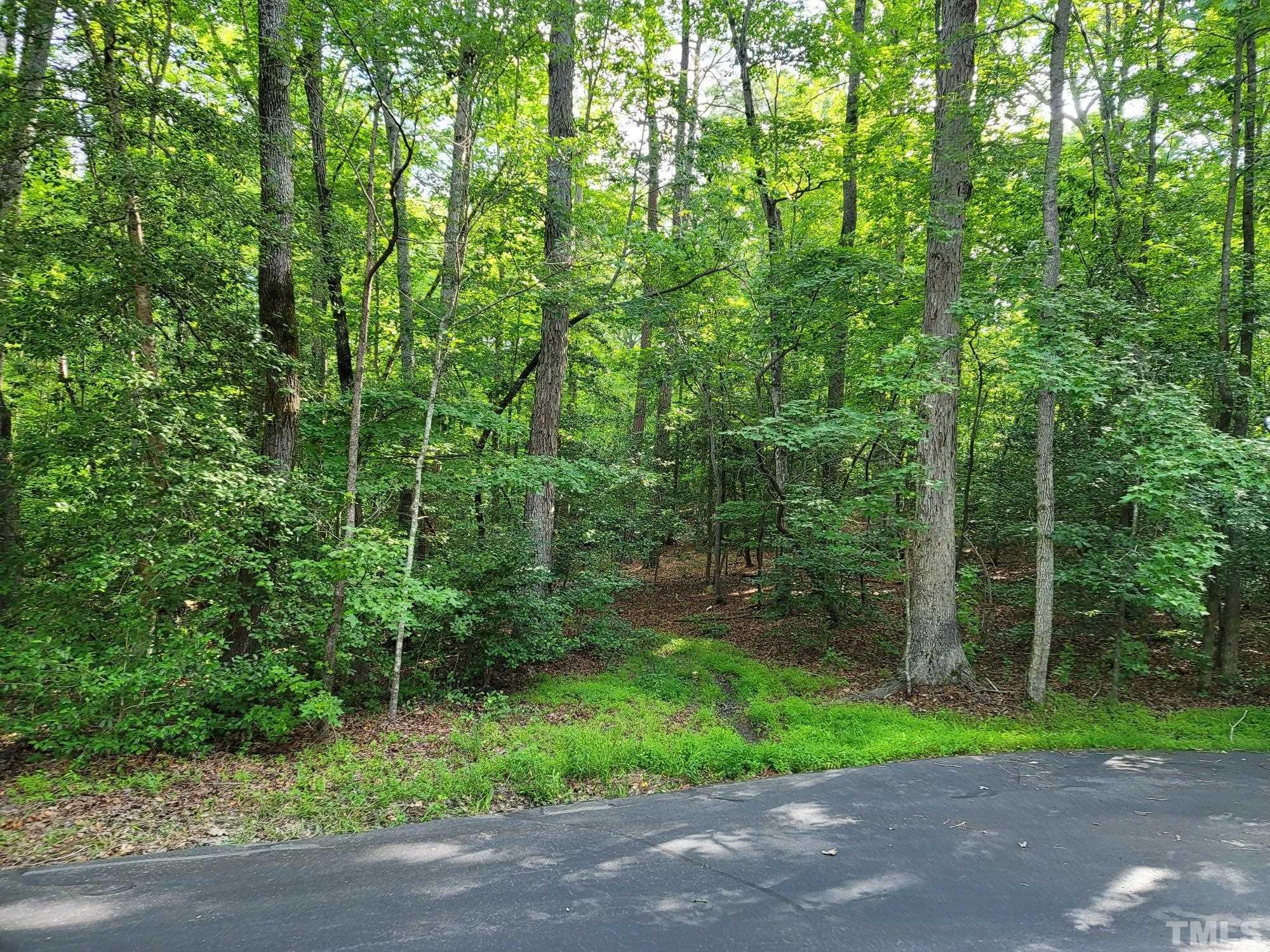 2058 Cedar Circle Sanford, NC 27332 - Photo 5 of 14 a view of outdoor space and yard