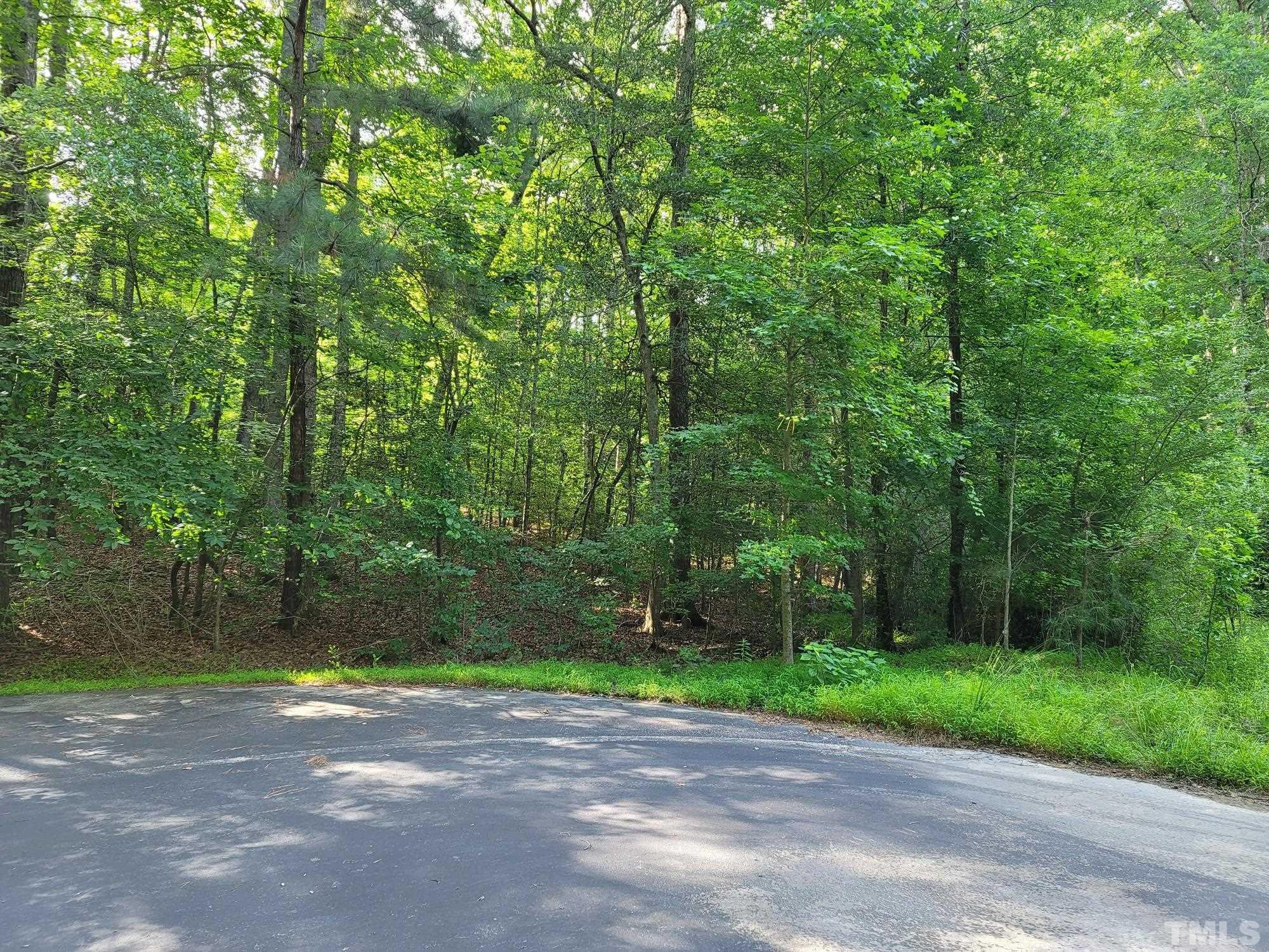 2058 Cedar Circle Sanford, NC 27332 - Photo 6 of 14 a view of a yard with plants and trees