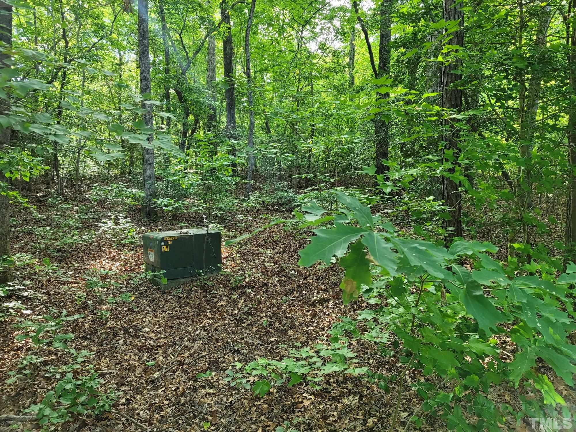 2058 Cedar Circle Sanford, NC 27332 - Photo 7 of 14 a backyard of a house with lots of green space