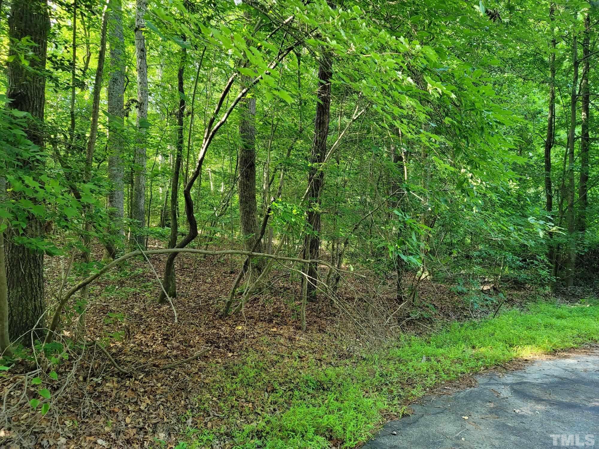 2058 Cedar Circle Sanford, NC 27332 - Photo 8 of 14 a view of a outdoor space