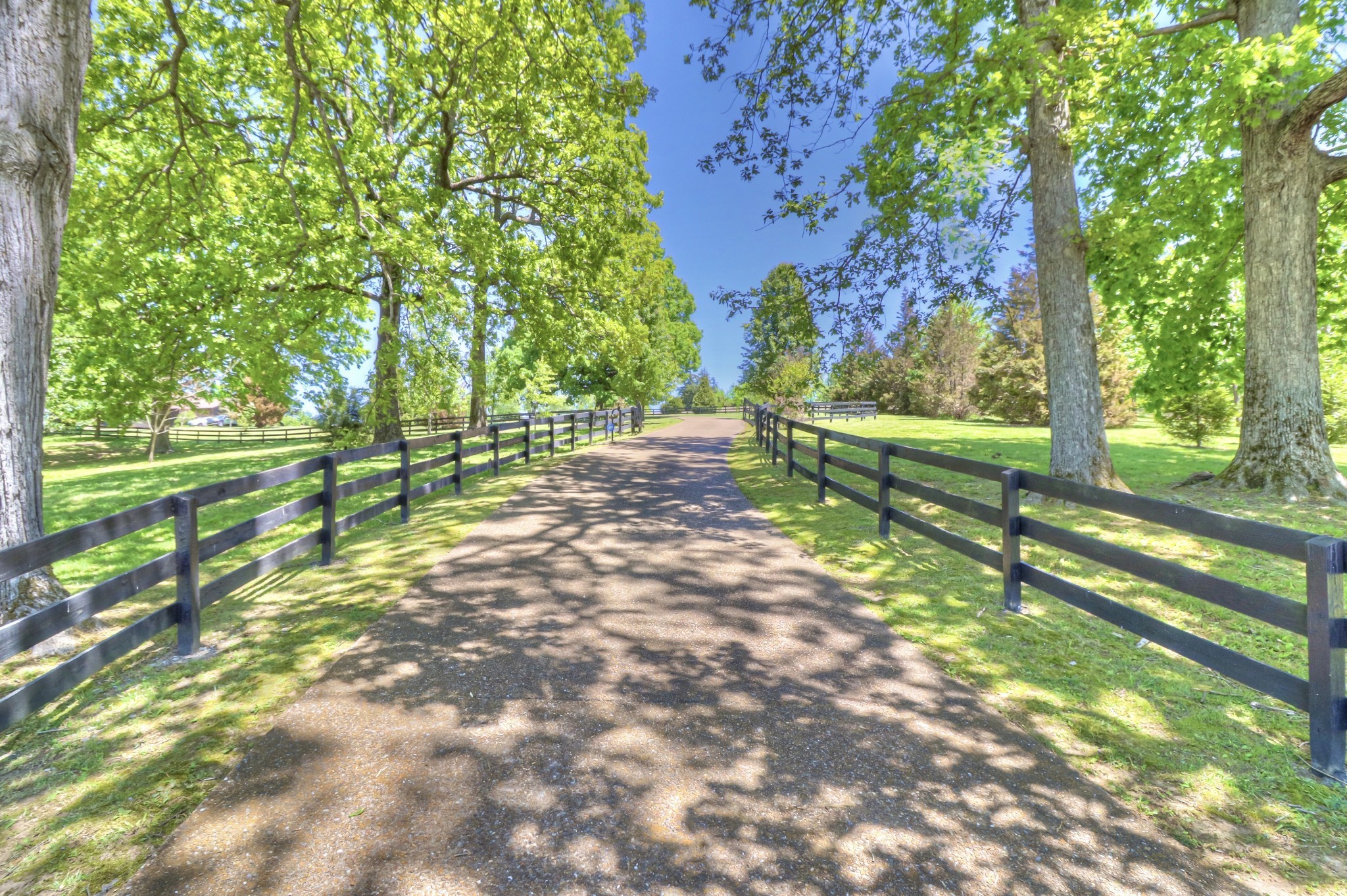 a view of park with a yard