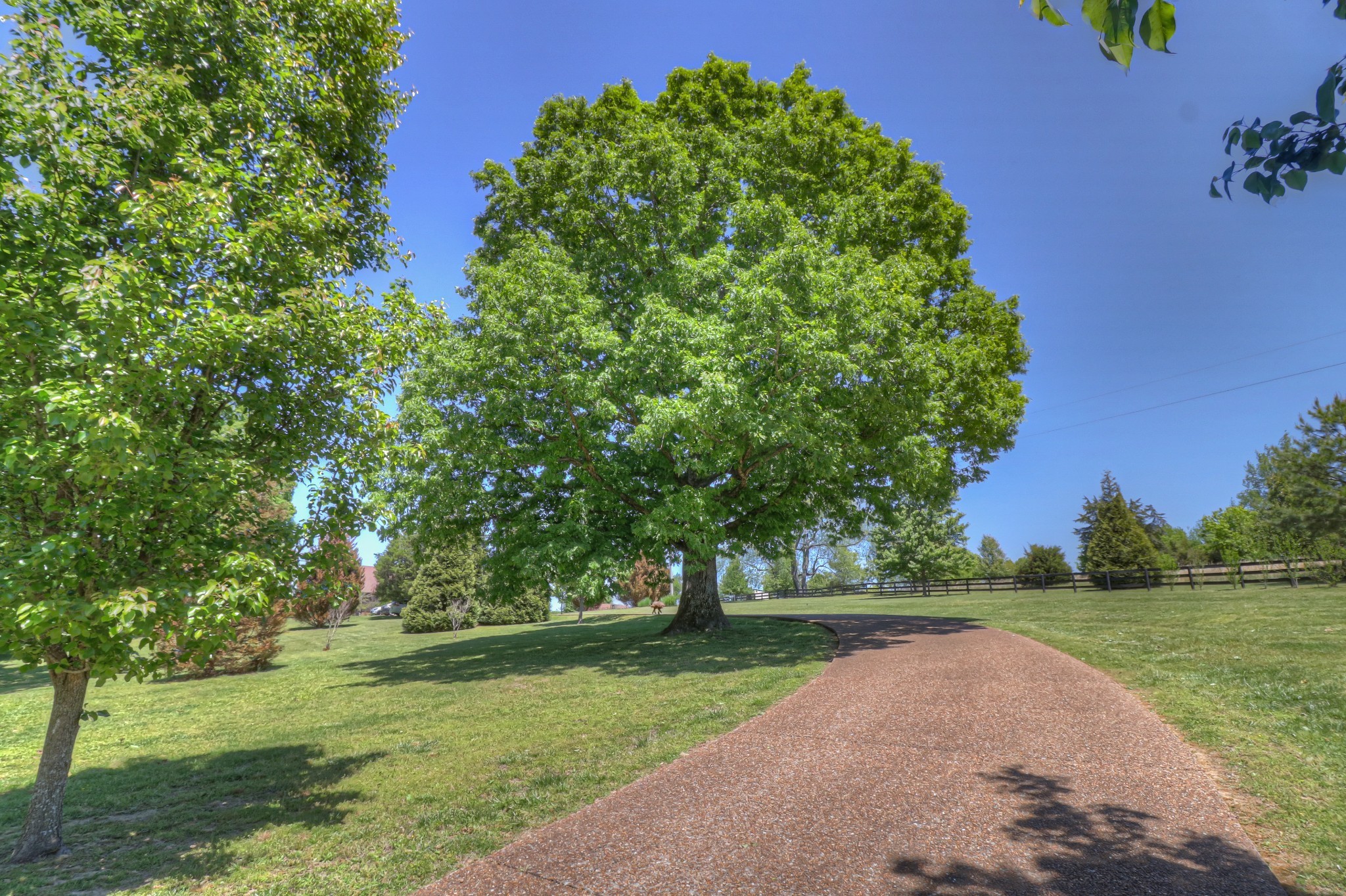7308 Walker Road Fairview, TN 37062 - Photo 2 of 36 a view of a trees with a yard