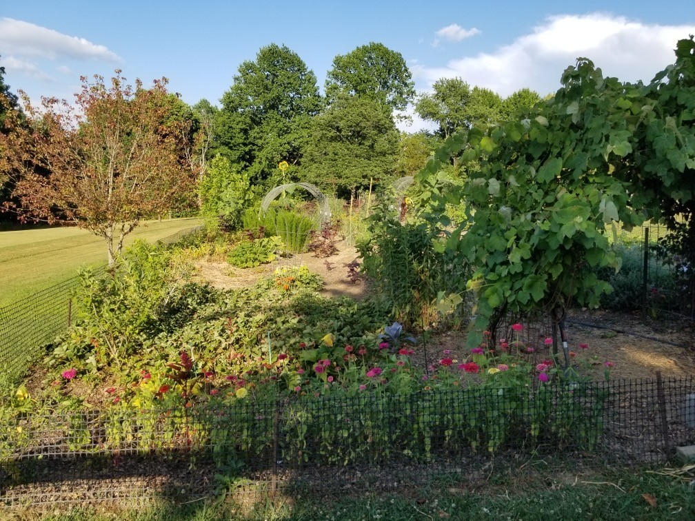 7308 Walker Road Fairview, TN 37062 - Photo 35 of 36 a picture of flowers