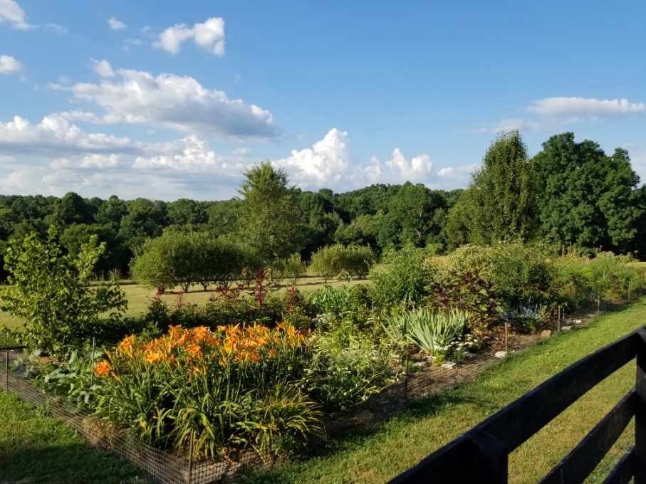 7308 Walker Road Fairview, TN 37062 - Photo 36 of 36 a view of a lake with a city