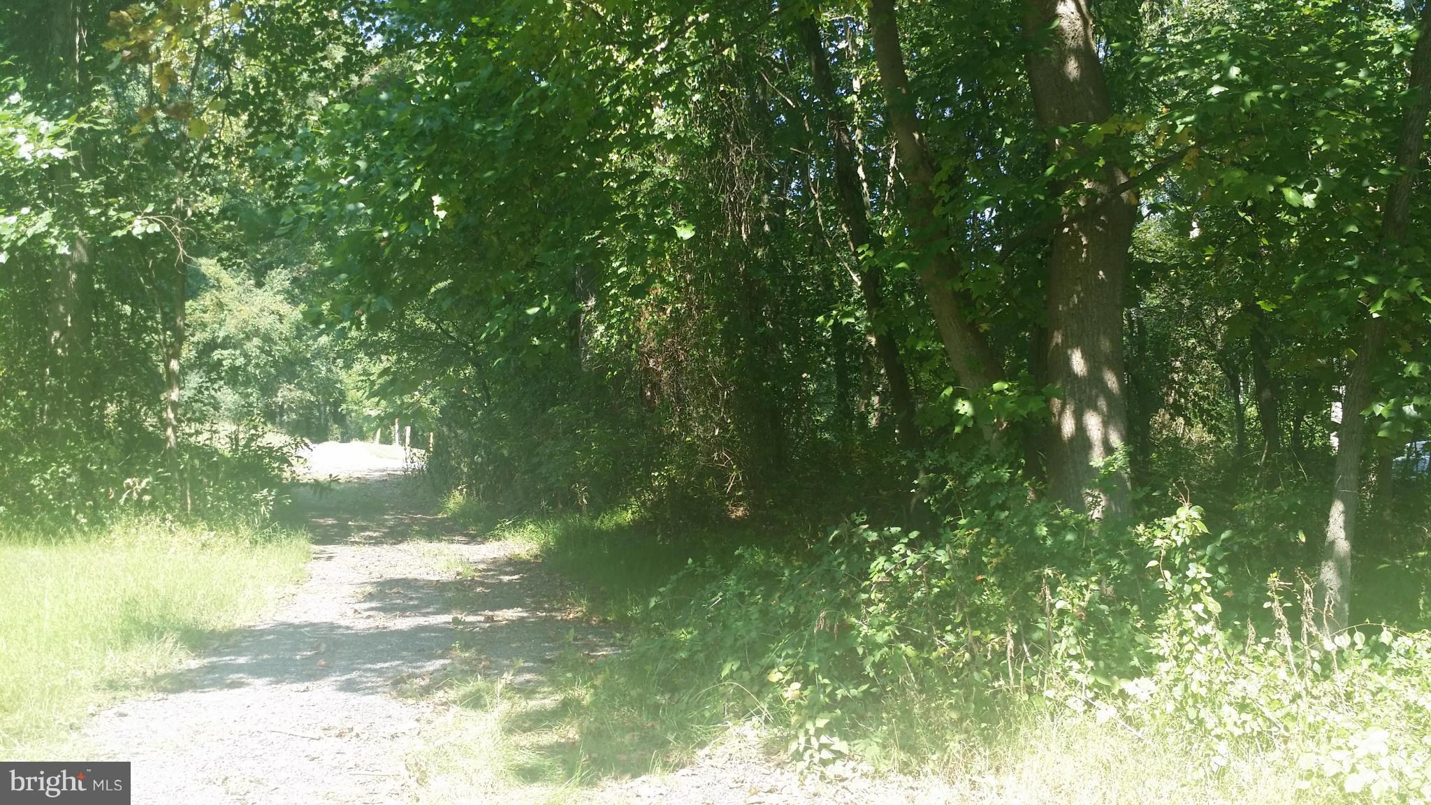 a view of lake from yard