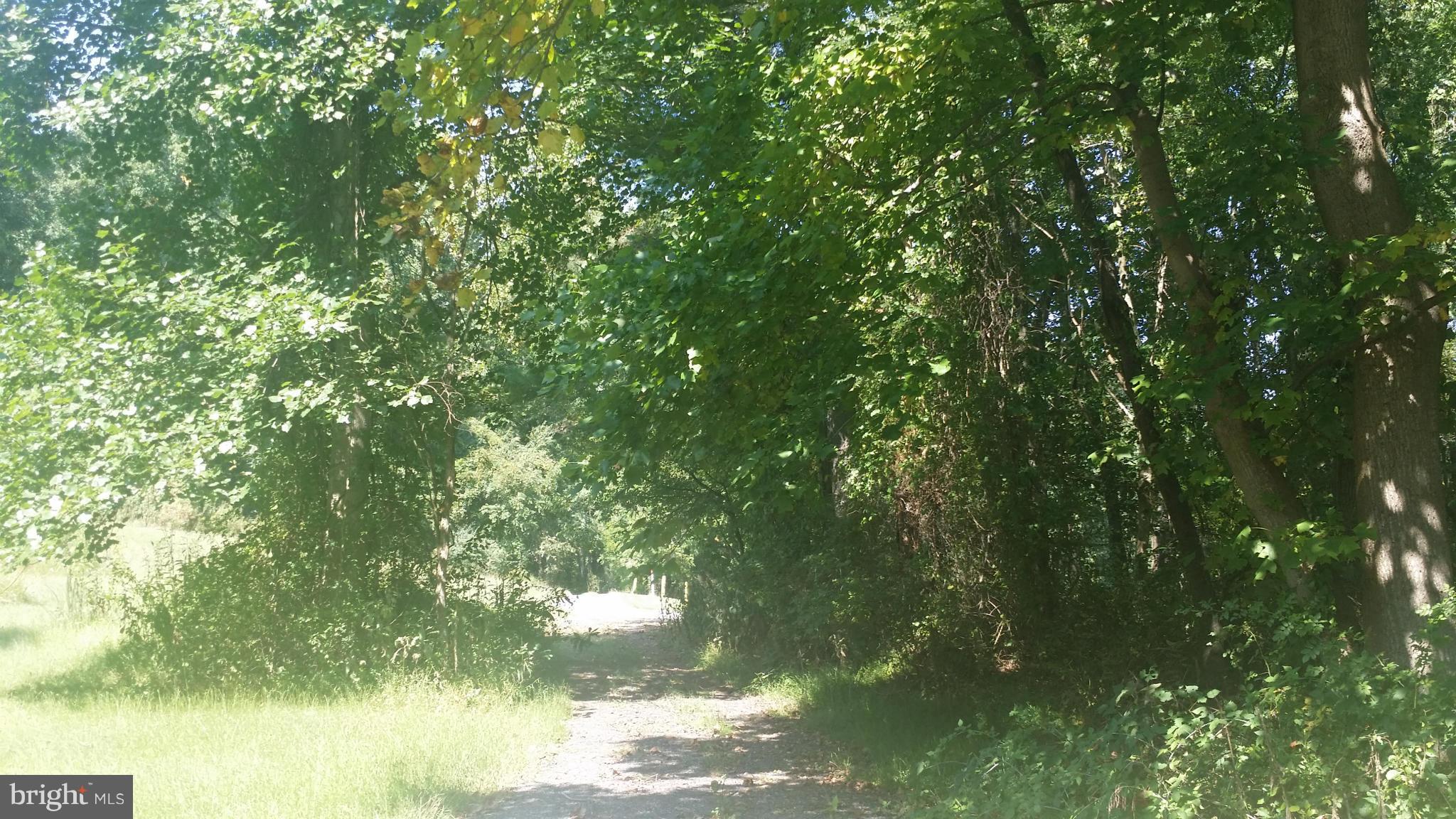 Brighton Dam Road Brookeville, MD 20833 - Photo 2 of 3