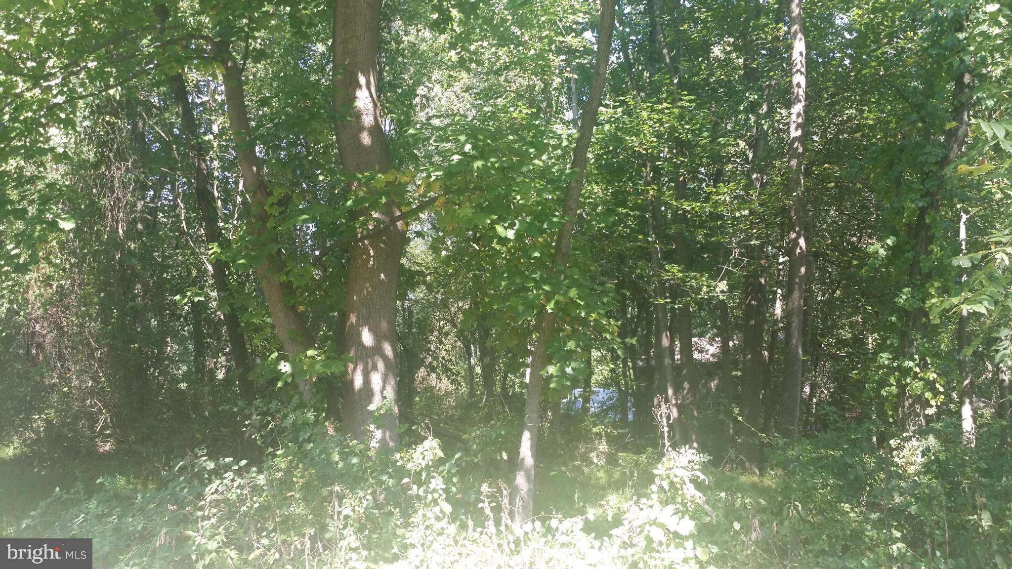 Brighton Dam Road Brookeville, MD 20833 - Photo 3 of 3