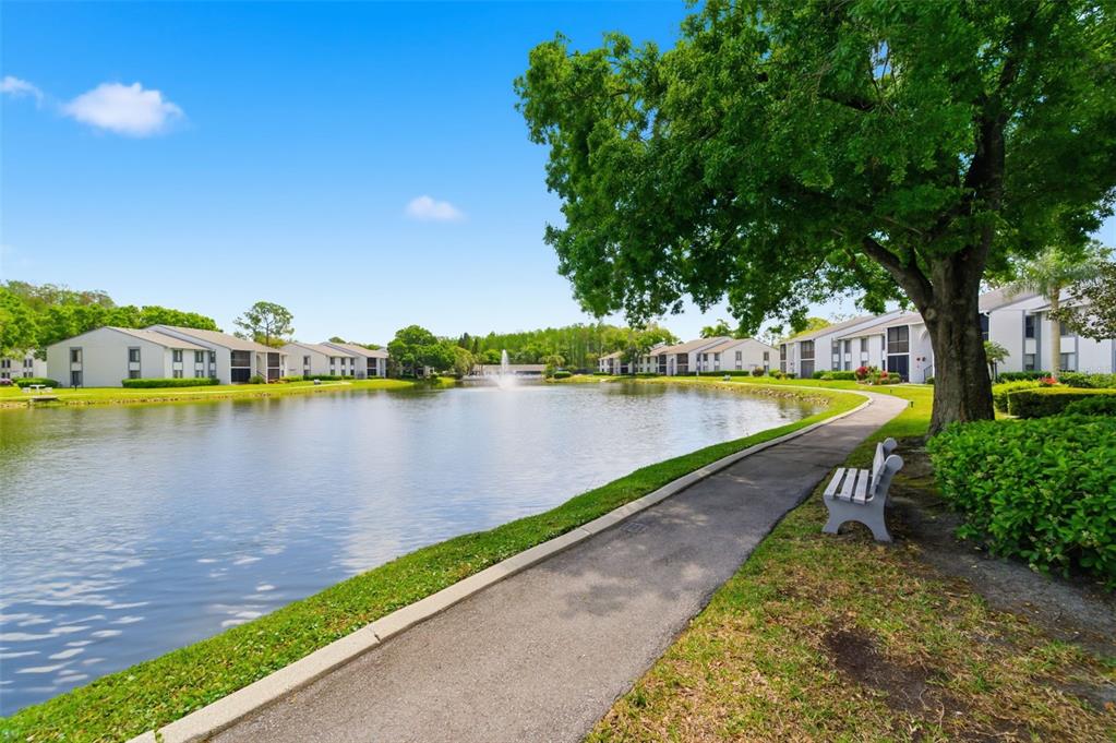 1135 Pine Ridge Circle West, Unit A2 Tarpon Springs, FL 34688 - Photo 41 of 63 a view of a lake with houses in the back