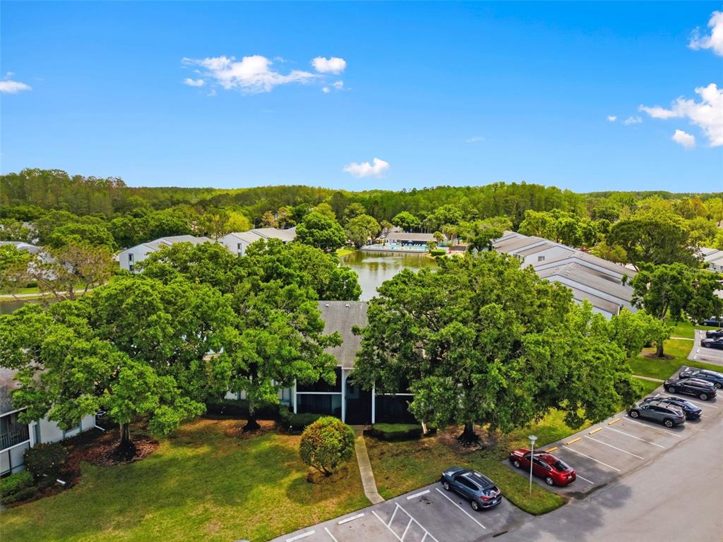 1135 Pine Ridge Circle West, Unit A2 Tarpon Springs, FL 34688 - Photo 45 of 63